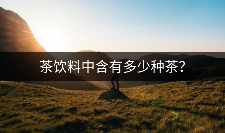 茶飲料中含有多少種茶？