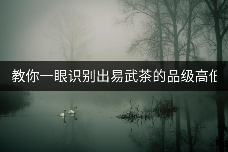 教你一眼識別出易武茶的品級高低！