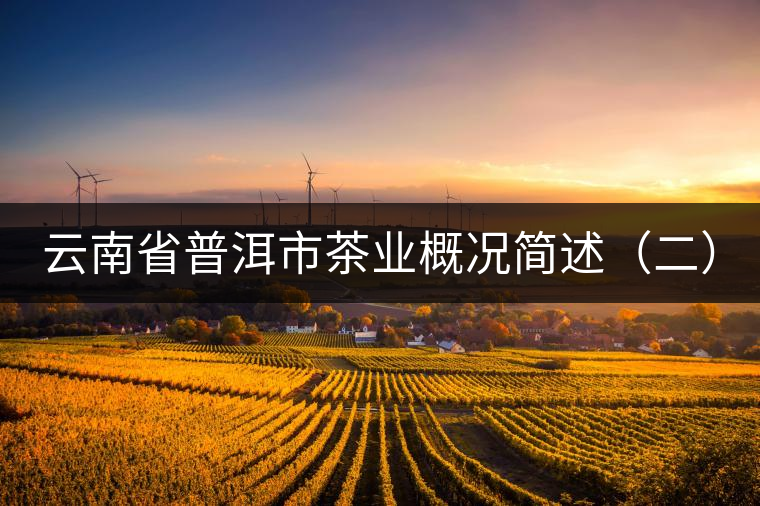 云南省普洱市茶業(yè)概況簡(jiǎn)述(二) 云南省普洱市茶業(yè)概況簡(jiǎn)述(二)