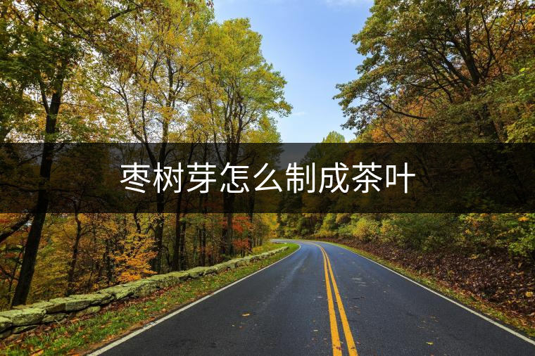 棗樹芽怎么制成茶葉