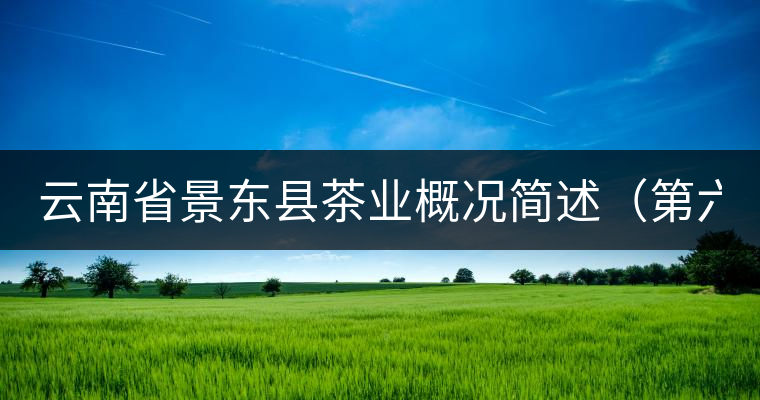 云南省景東縣茶業(yè)概況簡述(第六章) 云南省景東縣茶業(yè)概況簡述(第六章)