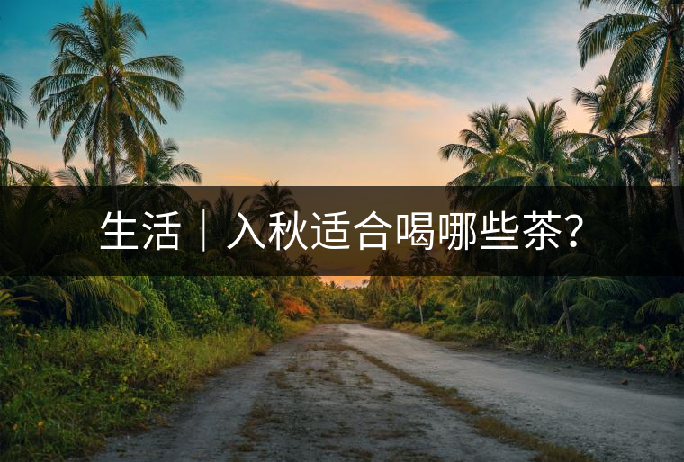生活｜入秋適合喝哪些茶？
