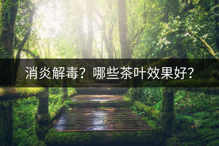 消炎解毒？哪些茶葉效果好？
