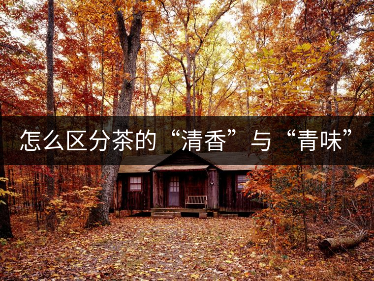 怎么區(qū)分茶的“清香”與“青味”？