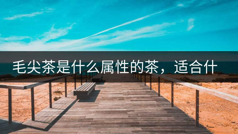 毛尖茶是什么屬性的茶，適合什么群體品飲？