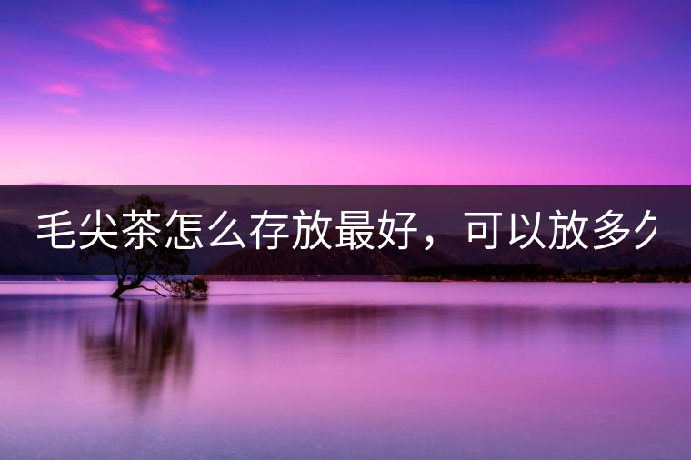 毛尖茶怎么存放最好，可以放多久？