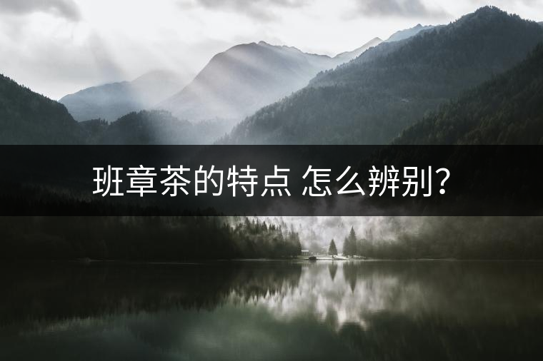 班章茶的特點(diǎn) 怎么辨別？