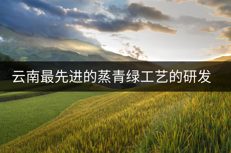 云南最先進的蒸青綠工藝的研發(fā)者是誰？