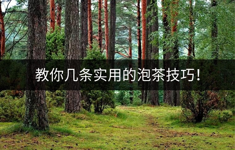 教你幾條實用的泡茶技巧！