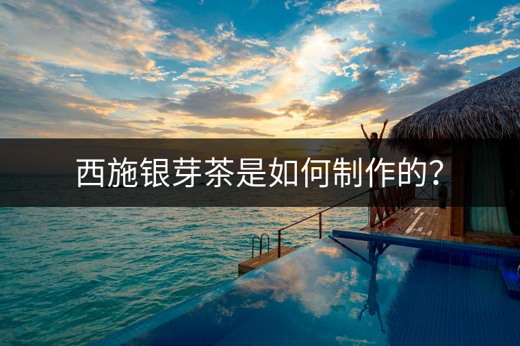 西施銀芽茶是如何制作的？