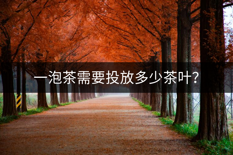 一泡茶需要投放多少茶葉？