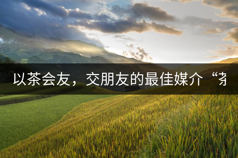 以茶會(huì)友，交朋友的最佳媒介“茶”！