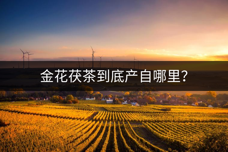 金花茯茶到底產(chǎn)自哪里？