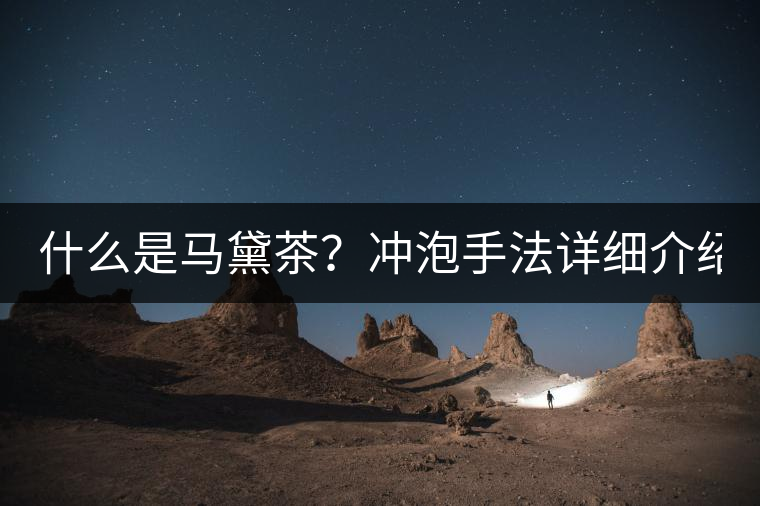 什么是馬黛茶？沖泡手法詳細介紹！