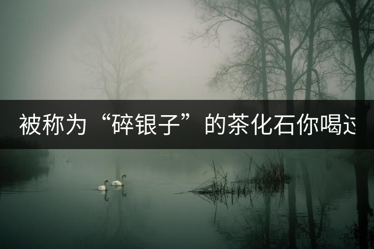 被稱為“碎銀子”的茶化石你喝過嗎？