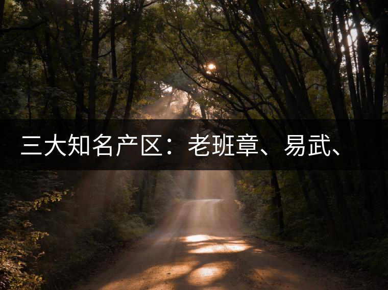 三大知名產(chǎn)區(qū)：老班章、易武、景邁三大茶系都有哪些特點(diǎn)！