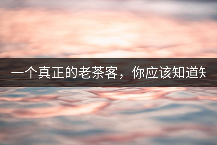 一個(gè)真正的老茶客，你應(yīng)該知道知識(shí)點(diǎn)！