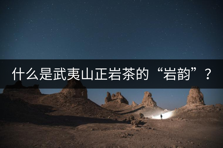 什么是武夷山正巖茶的“巖韻”？