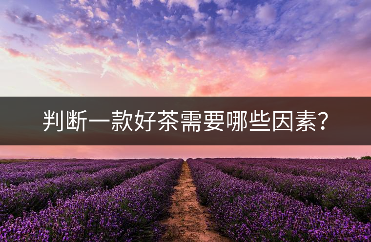 判斷一款好茶需要哪些因素？