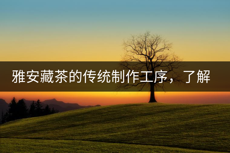 雅安藏茶的傳統(tǒng)制作工序，了解了傳統(tǒng)技藝才能更好的了解茶品！