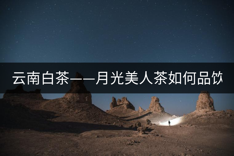 云南白茶——月光美人茶如何品飲？