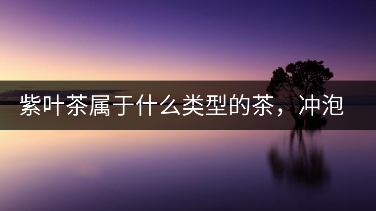 紫葉茶屬于什么類型的茶，沖泡需要注意什么？