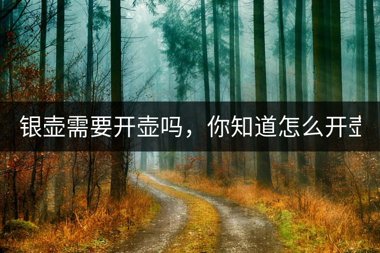 銀壺需要開(kāi)壺嗎，你知道怎么開(kāi)壺？