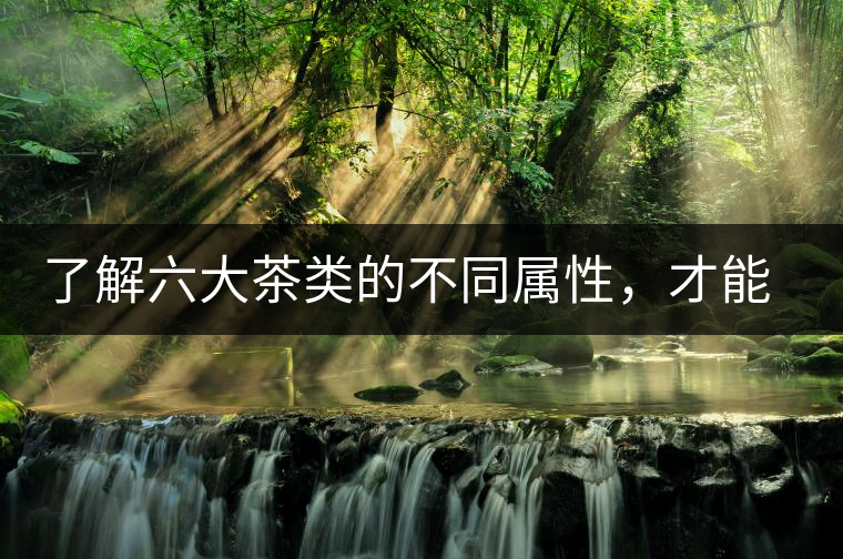 了解六大茶類的不同屬性，才能更好的選擇品飲！