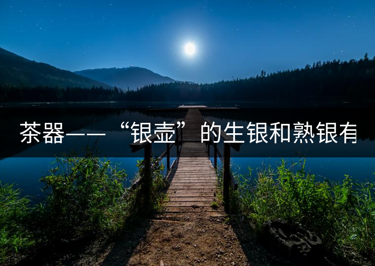 茶器——“銀壺”的生銀和熟銀有什么區(qū)別嗎？