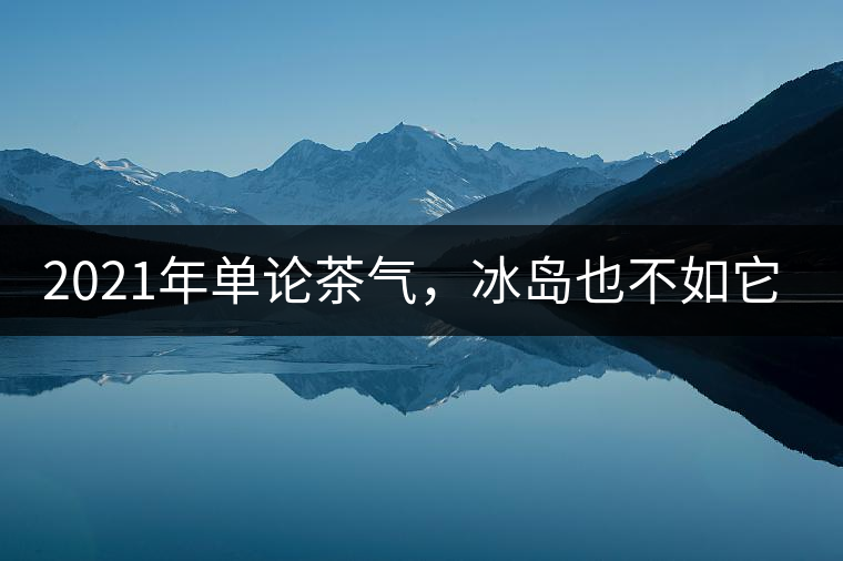 2021年單論茶氣，冰島也不如它-磨烈古樹秋