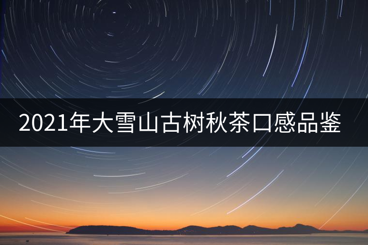 2021年大雪山古樹秋茶口感品鑒？