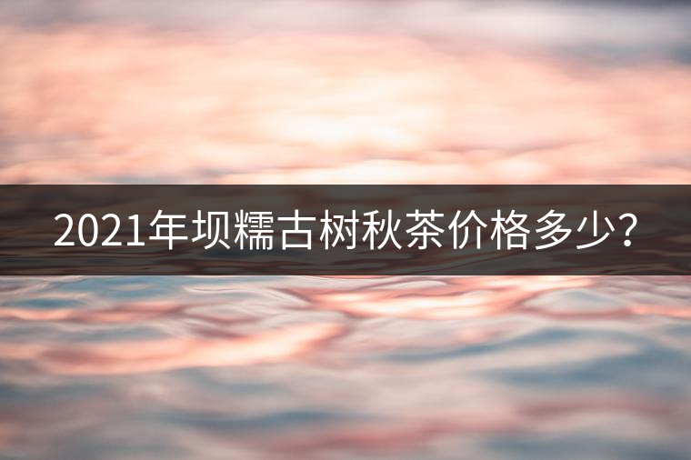 2021年壩糯古樹秋茶價(jià)格多少？
