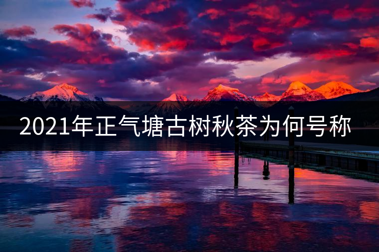 2021年正氣塘古樹秋茶為何號稱小冰島？