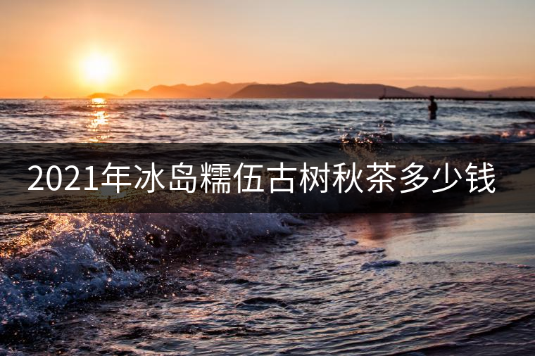 2021年冰島糯伍古樹秋茶多少錢一公斤？