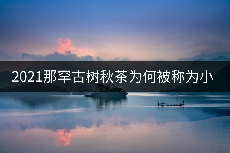 2021那罕古樹(shù)秋茶為何被稱為小昔歸？