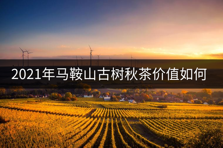 2021年馬鞍山古樹秋茶價值如何？