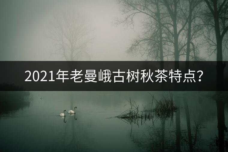 2021年老曼峨古樹秋茶特點？