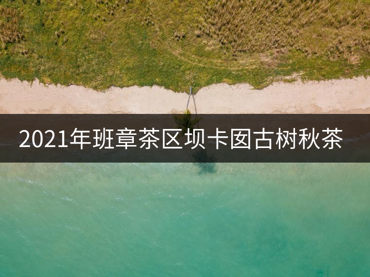 2021年班章茶區(qū)壩卡囡古樹秋茶多少錢一公斤？