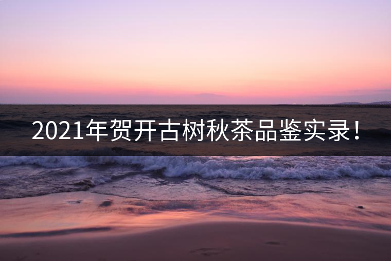 2021年賀開(kāi)古樹(shù)秋茶品鑒實(shí)錄！