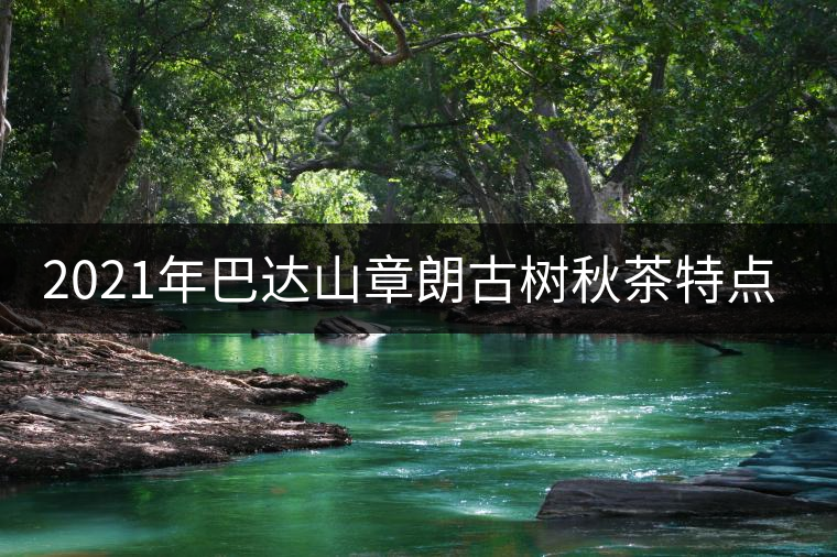 2021年巴達(dá)山章朗古樹秋茶特點？