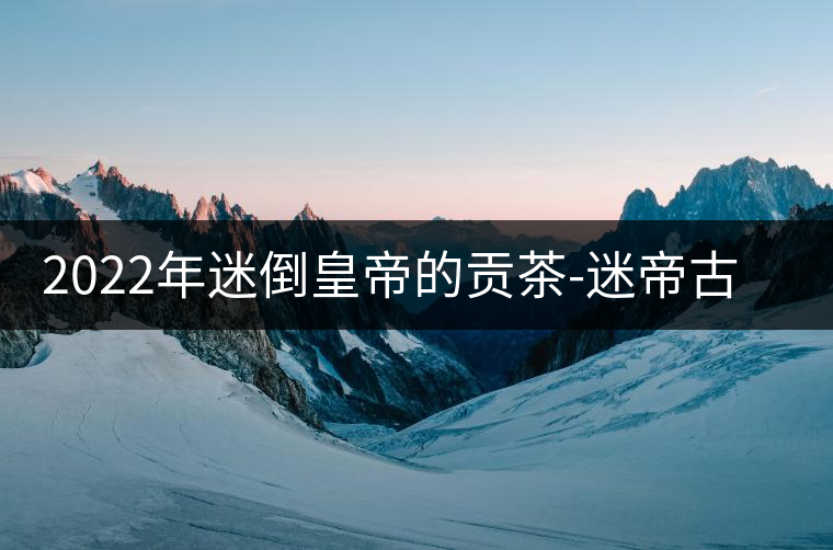 2022年迷倒皇帝的貢茶-迷帝古樹春茶特點(diǎn)？