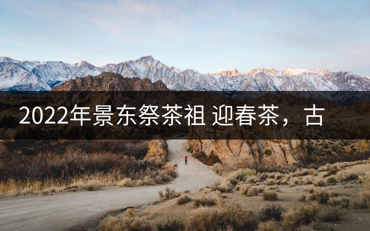 2022年景東祭茶祖 迎春茶，古樹春茶多少錢一公斤？