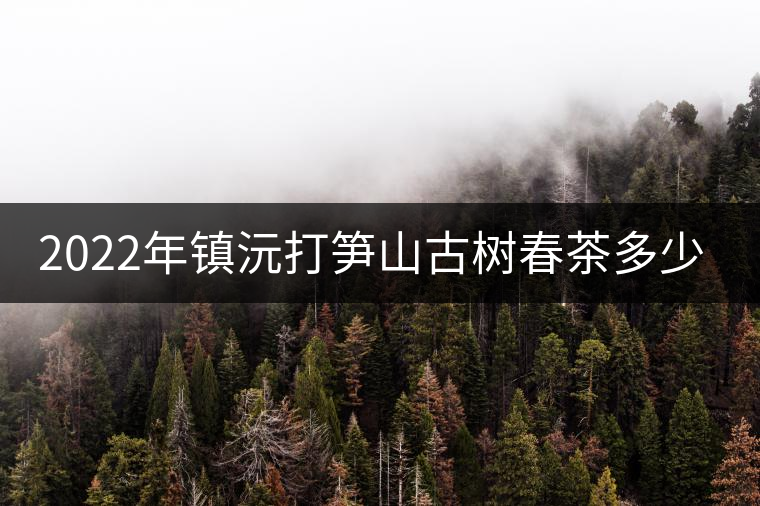 2022年鎮(zhèn)沅打筍山古樹春茶多少錢一公斤？