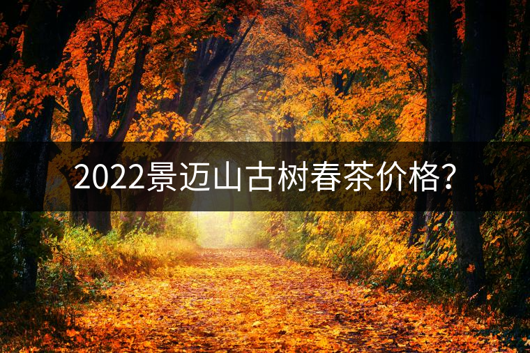 2022景邁山古樹春茶價格？