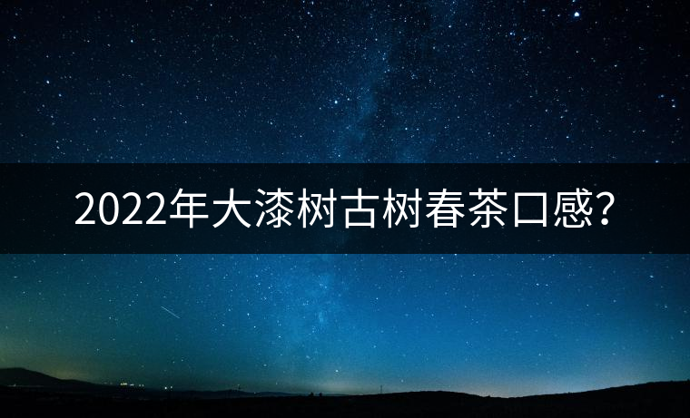 2022年大漆樹古樹春茶口感？