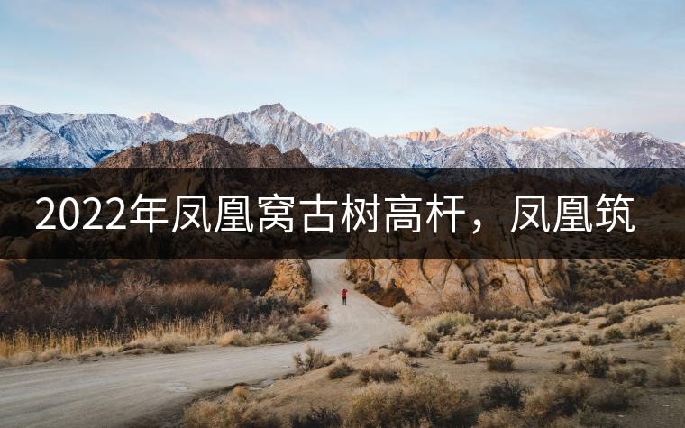 2022年鳳凰窩古樹高桿，鳳凰筑巢的地方