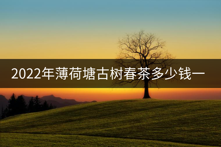 2022年薄荷塘古樹春茶多少錢一公斤？