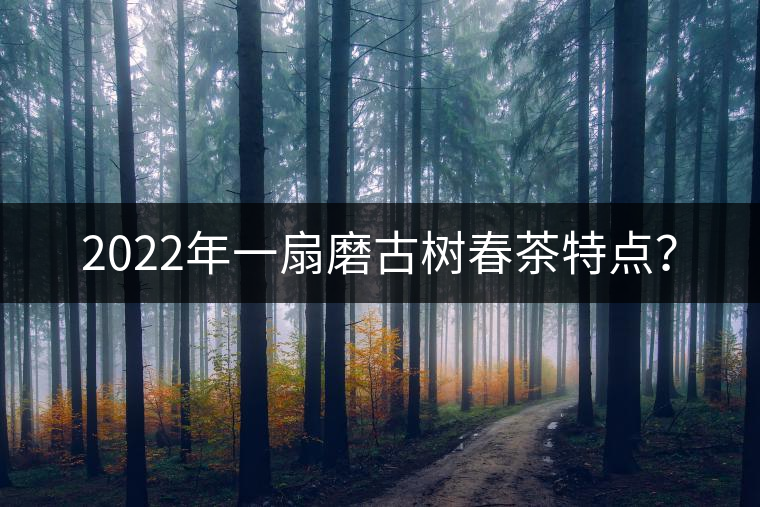 2022年一扇磨古樹春茶特點(diǎn)？