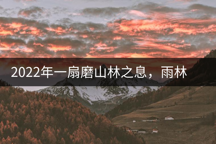 2022年一扇磨山林之息，雨林之味，原始之態(tài)