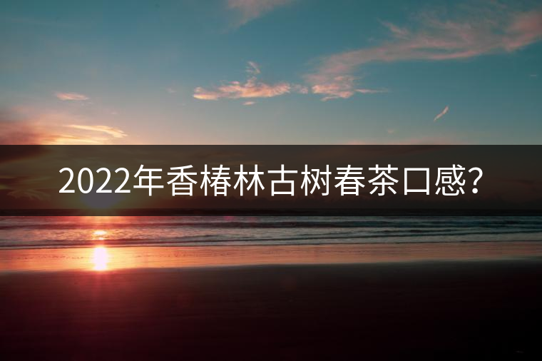 2022年香椿林古樹春茶口感? 2022年香椿林古樹春茶口感?
